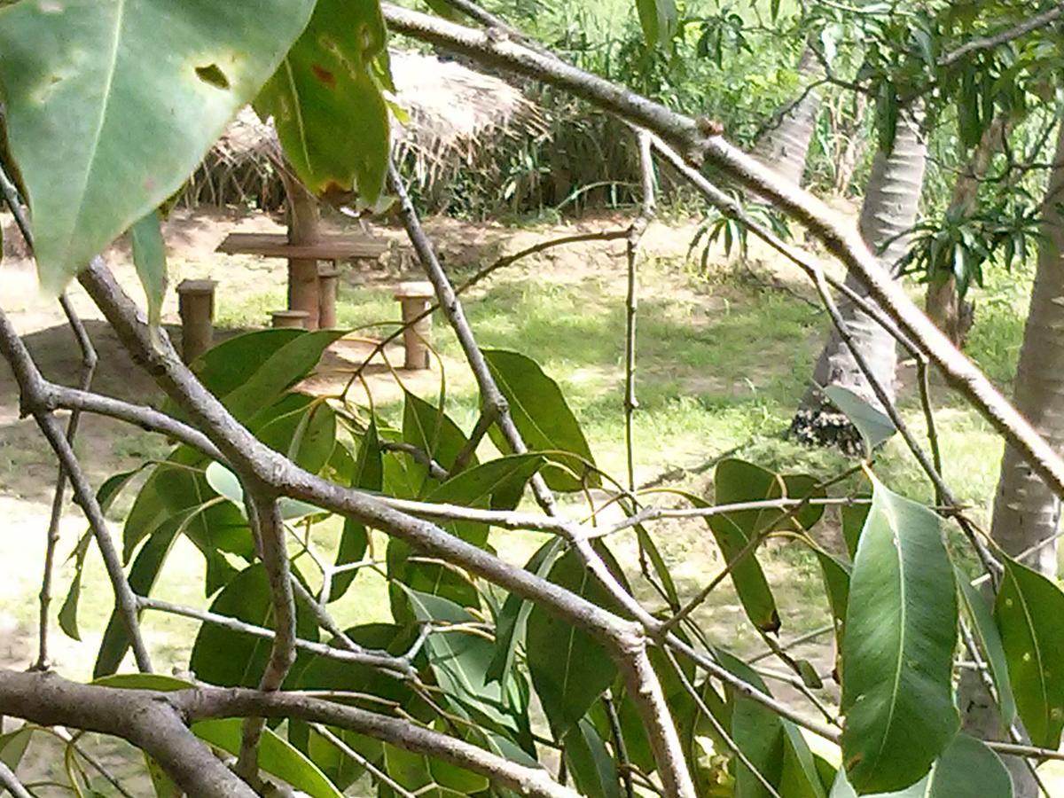 Green Earth Resort And Restaurant Dambulla Esterno foto