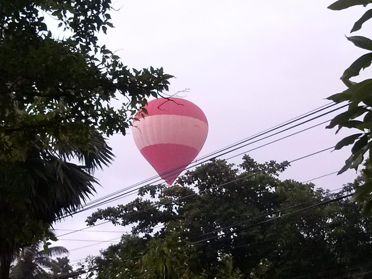 Green Earth Resort And Restaurant Dambulla Esterno foto