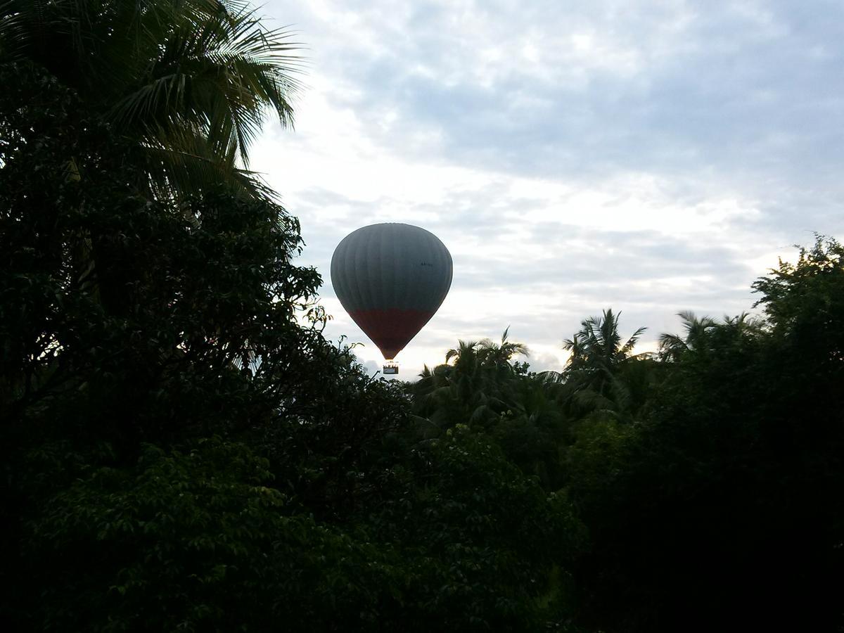 Green Earth Resort And Restaurant Dambulla Esterno foto